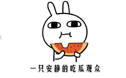 免费吃瓜什么意思,网络热词背后的文化现象  第2张